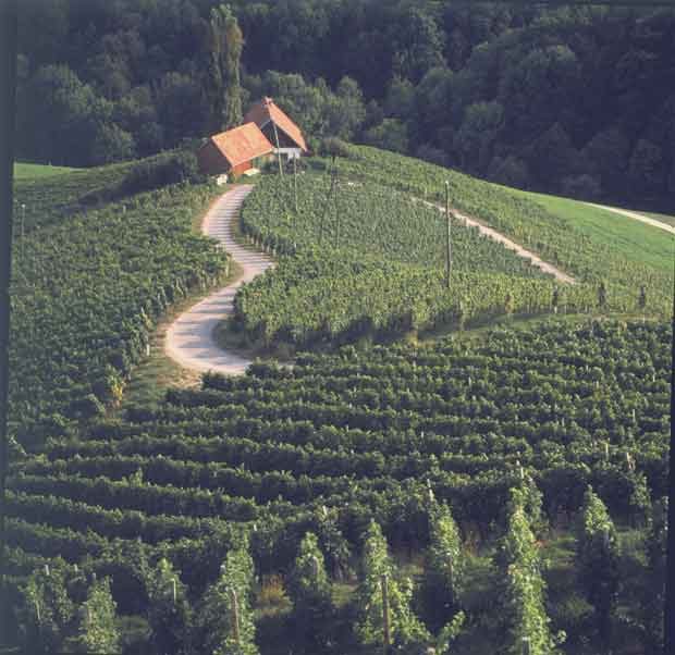 Lavrencic-Adventure-Slovenia