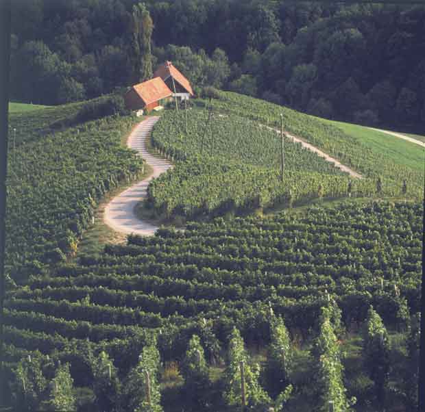 Lavrencic-Adventure-Slovenia
