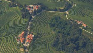 Slovenia-Vineyards-Slovenske-Gorice_03